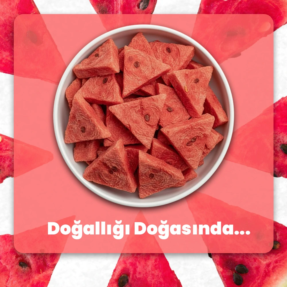 Geyicek Gıda Kurutulmuş Karpuz 30 Gr