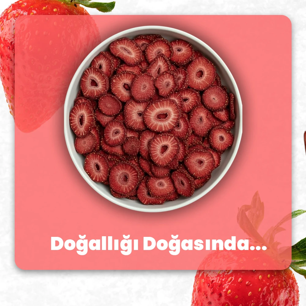 Geyicek Gıda Kurutulmuş Çilek 30 Gr 