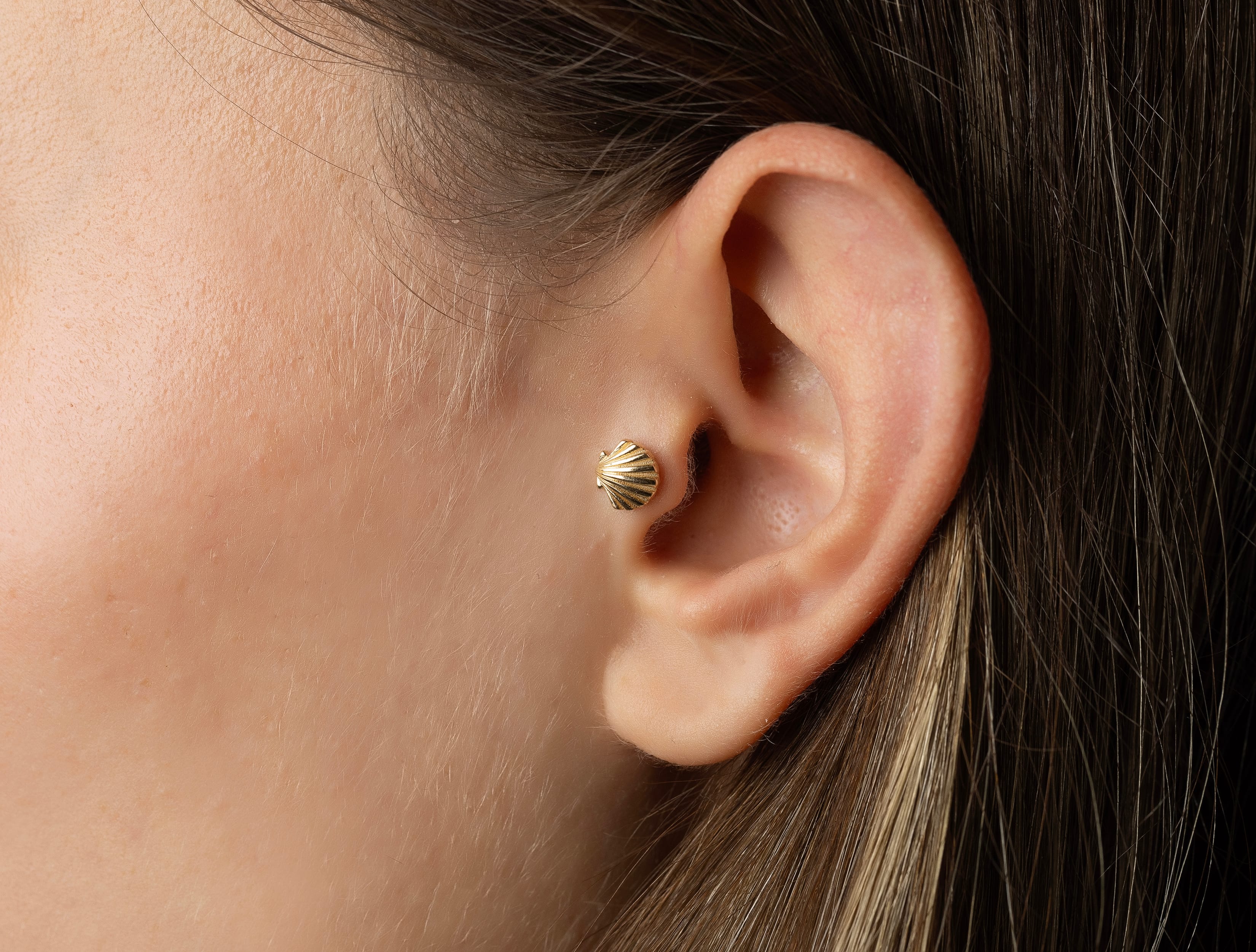 Altın Denzi Kabuğu Tragus Piercing
