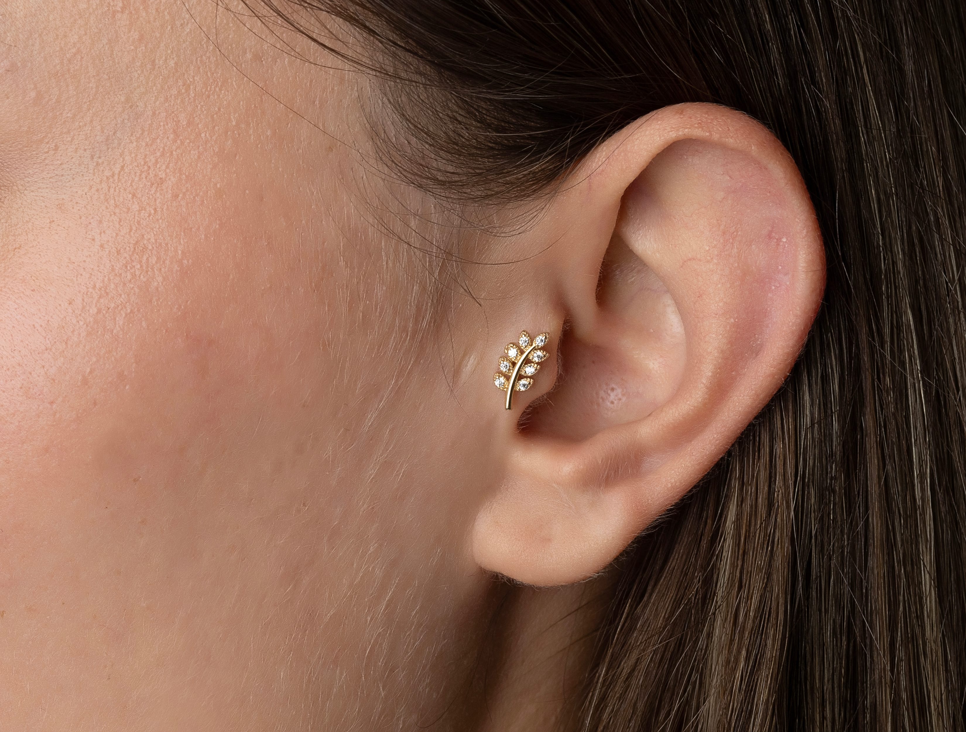 Altın Dal Tragus Piercing