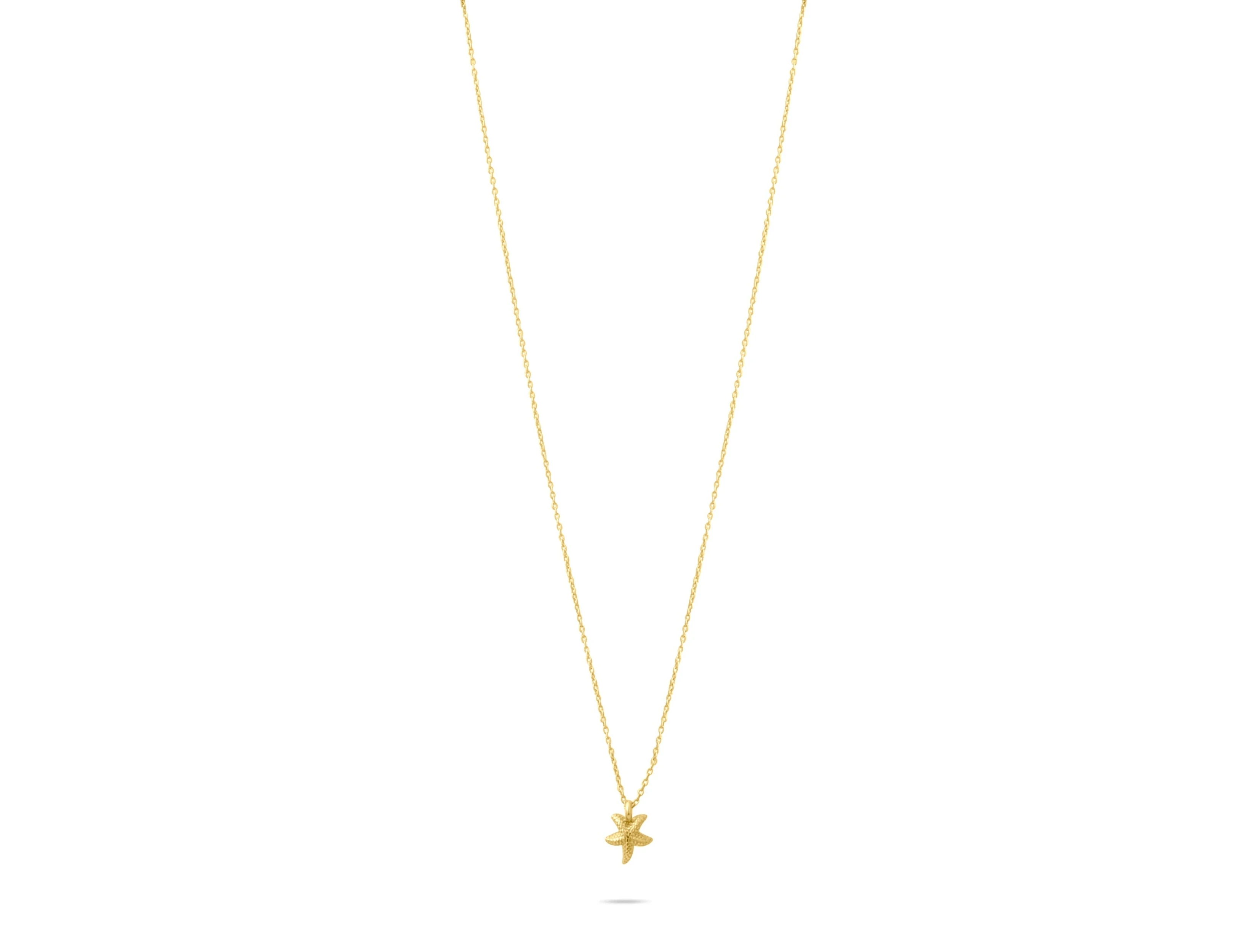 Altın Mini Lucky Şans Kolyesi Deniz Yıldızı