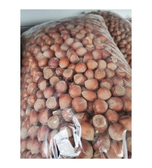 NutGrove Kabuklu Fındık 1 Kg 