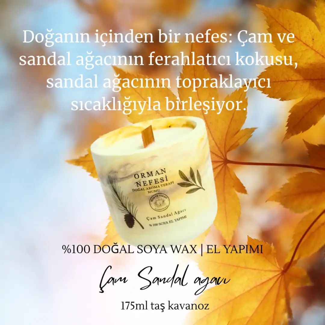 DOĞANIN NEFESİ RAHAT BİR ORTAM İÇİN