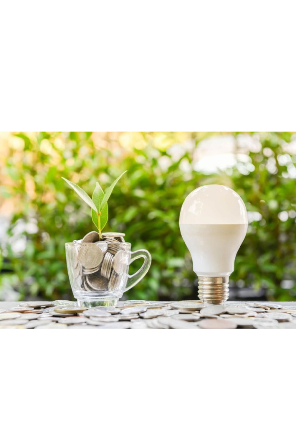 Mycare LED Lamba 13W - 100W 2700K Sarı  Işık  1521 Lümen Yüksek Işık 9 adet