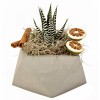 Geometrik Beyaz Beton Saksı 12 cm
