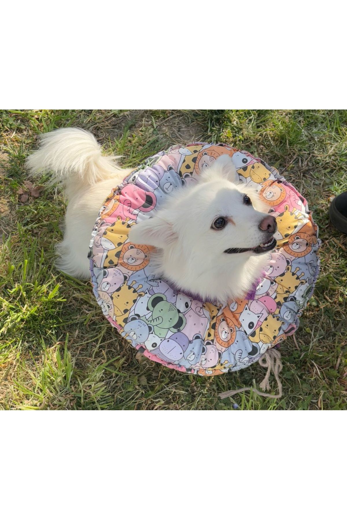Kedi Köpek Huni Operasyon Boyunluk,Yakalık,Yastık,Elizabeth(XL Dış kenar çapı:45 cm)%100 koruma 02