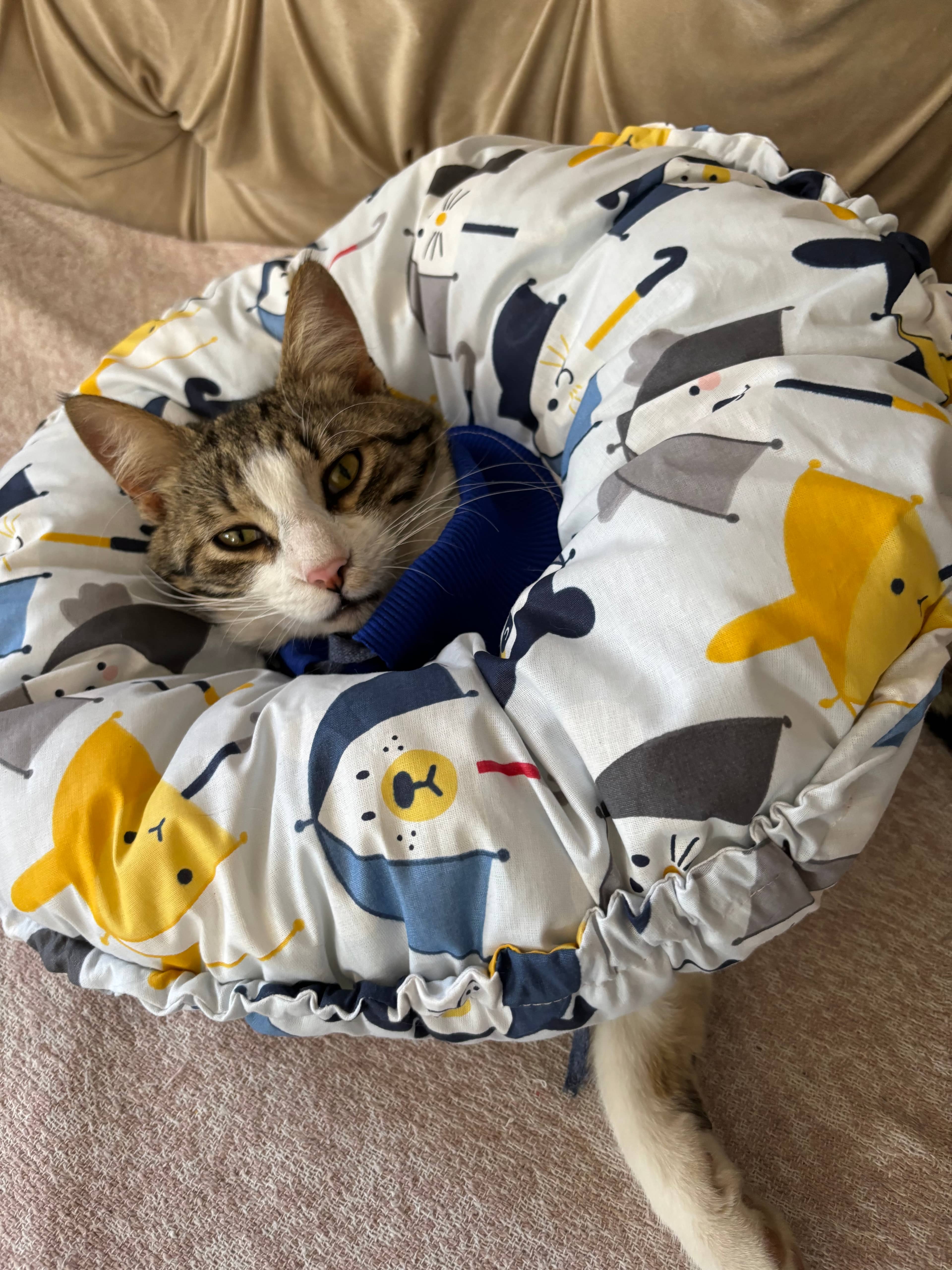 Kedi Köpek Huni Operasyon Boyunluk,yakalık,yastık,elizabeth(XL DIŞ KENAR ÇAPI:45 CM)%100 Koruma 01
