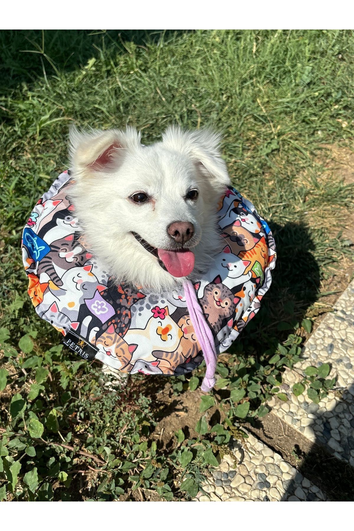 Kedi Ve Köpek Boyunluk-Elizabeth Yakalık Operasyon Boyunluk-kedi Boyun Yastığı(ÖZEL KUMAŞ)(Miyav Gücü)