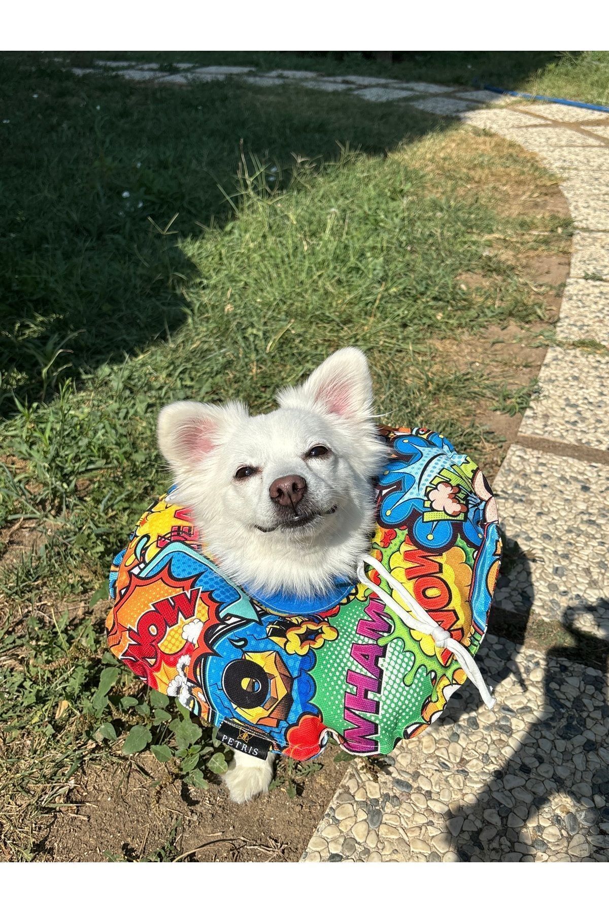 Kedi Ve Köpek Boyunluk-Elizabeth Yakalık Operasyon Boyunluk-kedi Boyun Yastığı ÖZEL KUMAŞ(Bang Bang)