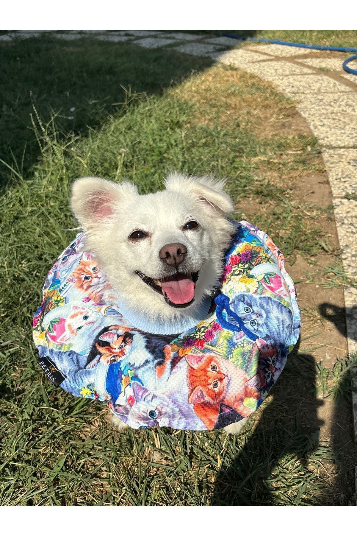 Kedi-Köpek Boyunluk-Elizabeth Yakalık Operasyon Boyunluk-kedi Boyun Yastığı(ÖZEL KUMAŞ)(Kedili Bahçe)