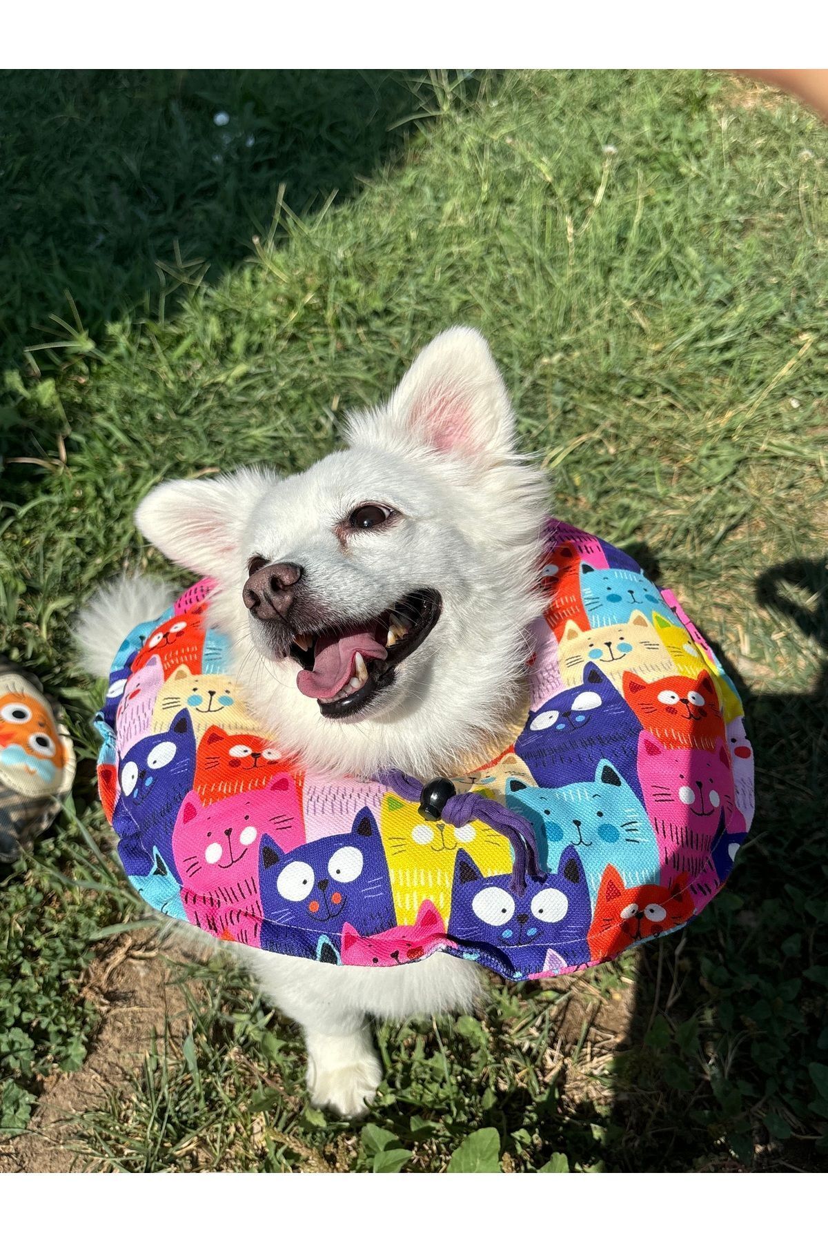 Kedi-Köpek Boyunluk-Elizabeth Yakalık Operasyon Boyunluk-kedi Boyun Yastığı(ÖZEL KUMAŞ)(Mor Kediler)