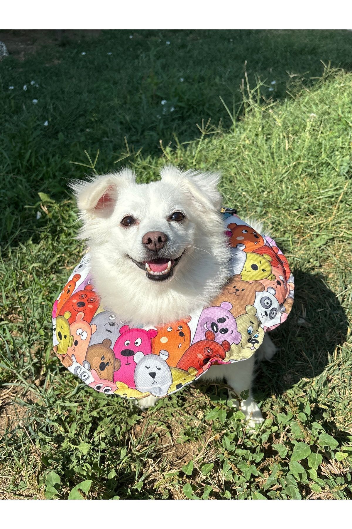 Kedi Köpek Elizabeth Yakalık Operasyon Boyunluk  Yastığı Özel Kumaş(Ayıcıklar)