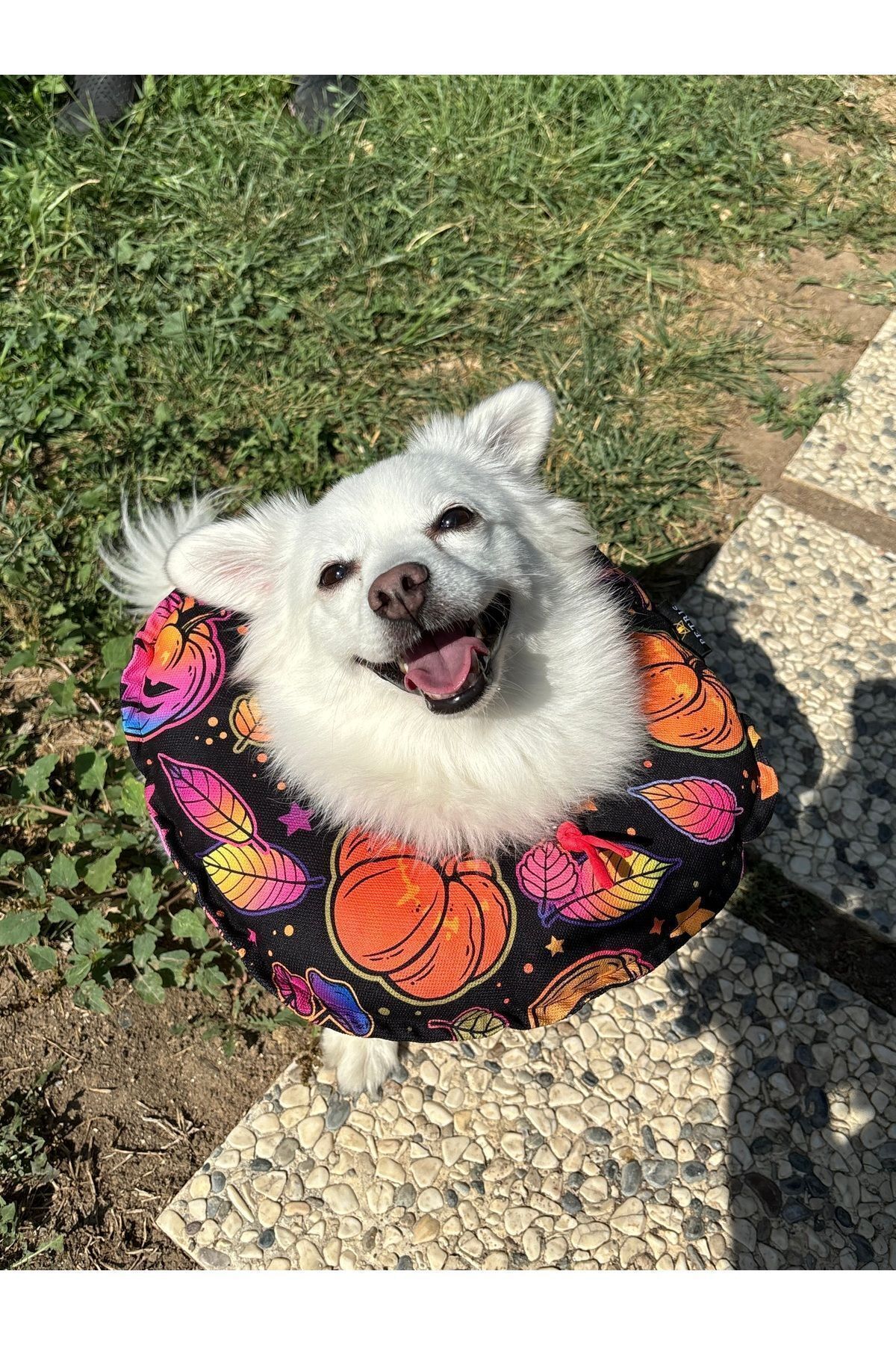 Kedi Ve Köpek Boyunluk-Elizabeth Yakalık Operasyon Boyunluk-kedi Boyun Yastığı(ÖZEL KUMAŞ)(Halloween)