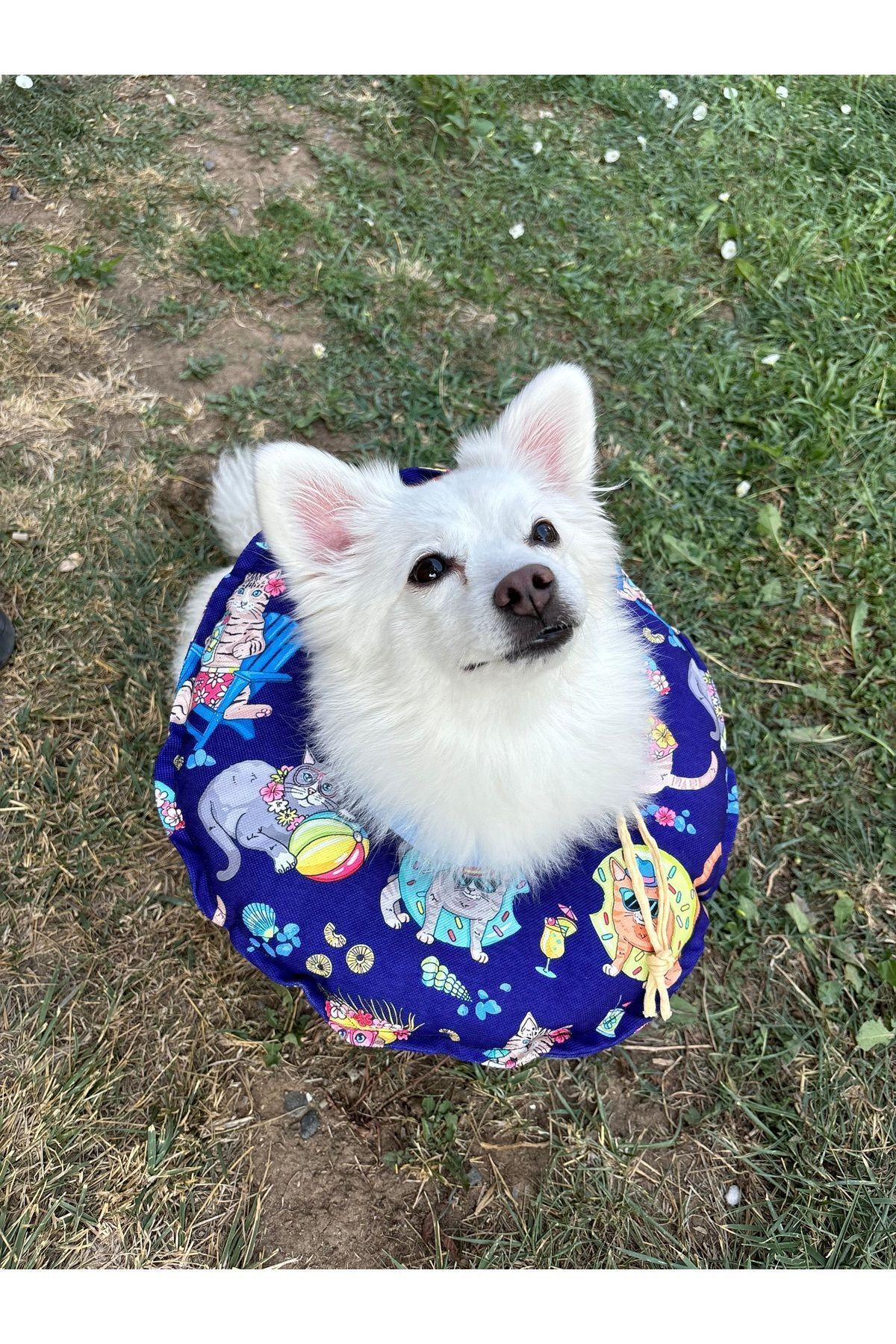 Kedi Ve Köpek Boyunluk-elizabeth Yakalık Operasyon Boyunluk-kedi Boyun Yastığı(ÖZEL KUMAŞ)(Kediler Tatilde)