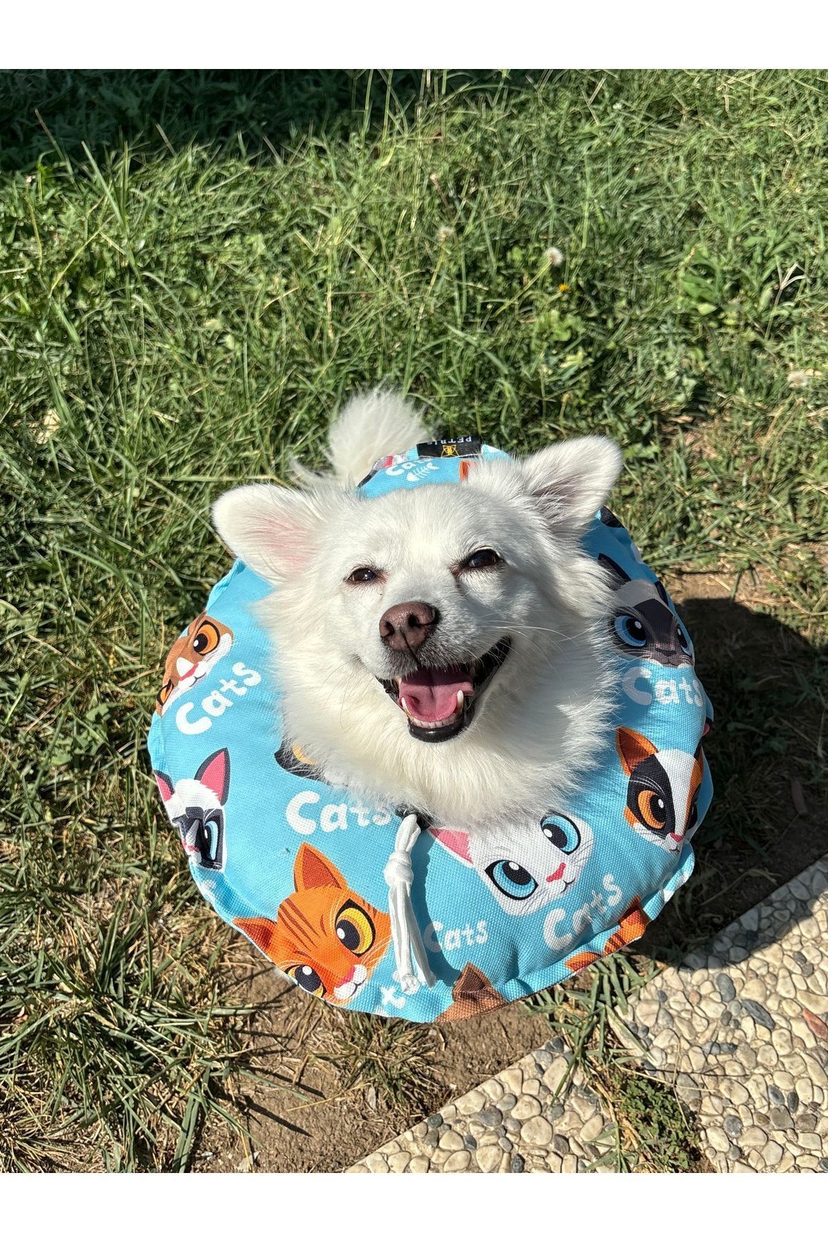 Kedi-Köpek Boyunluk-Elizabeth Yakalık Operasyon Boyunluk-kedi Boyun Yastığı(ÖZEL KUMAŞ)(Maviş Kediler)