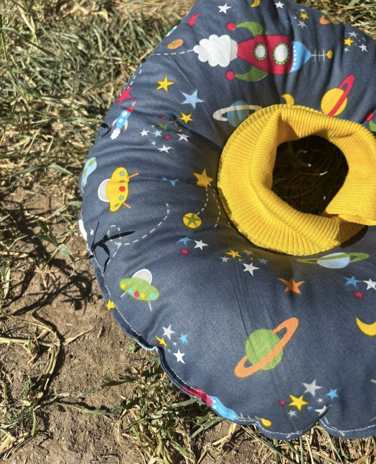 Kedi Ve Köpek Boyunluk-elizabeth Yakalık Operasyon Boyunluk-kedi Boyun Yastığı(ASTRONOTLAR)