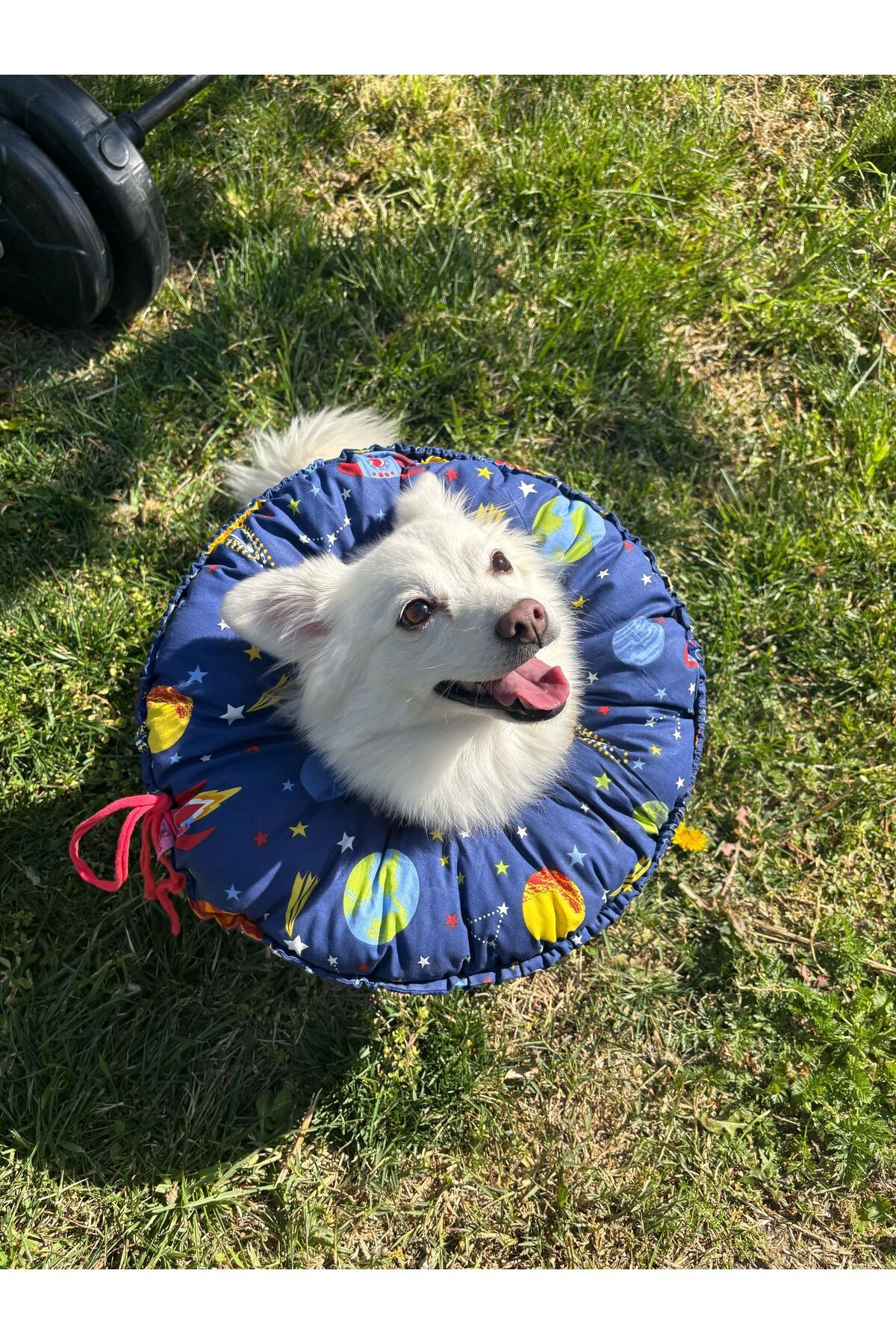 Kedi Köpek Huni Operasyon Boyunluk,Yakalık,Yastık,Elizabeth(XL Dış kenar çapı:45 cm)%100 koruma 03