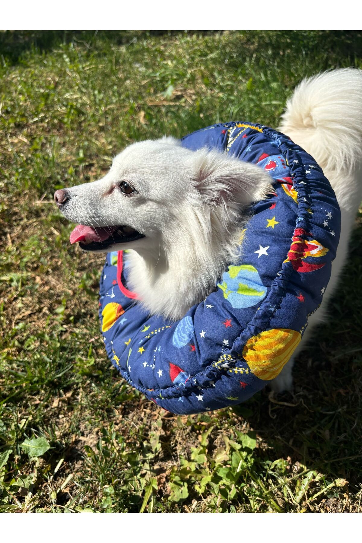 Kedi Köpek Huni Operasyon Boyunluk,Yakalık,Yastık,Elizabeth(XL Dış kenar çapı:45 cm)%100 koruma 03