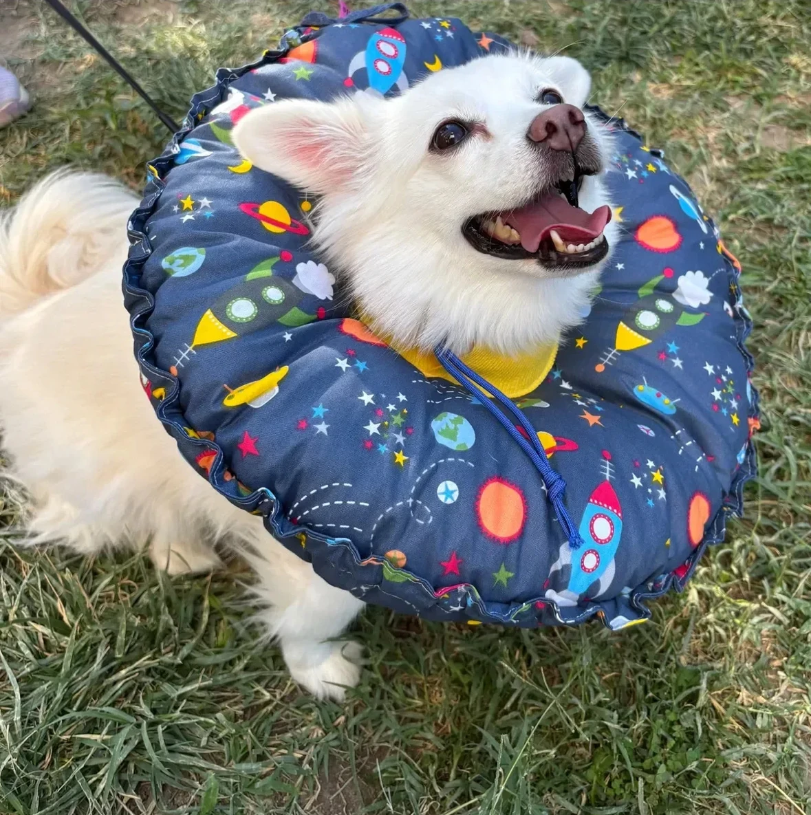 Kedi Köpek Huni Operasyon Boyunluk,Yakalık,Yastık,Elizabeth(XL Dış kenar çapı:45 cm)%100 koruma 03