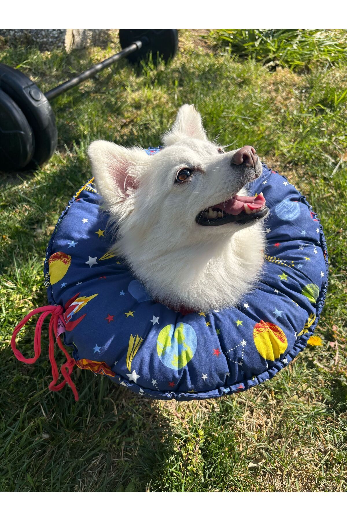 Kedi Köpek Huni Operasyon Boyunluk,Yakalık,Yastık,Elizabeth(XL Dış kenar çapı:45 cm)%100 koruma 03
