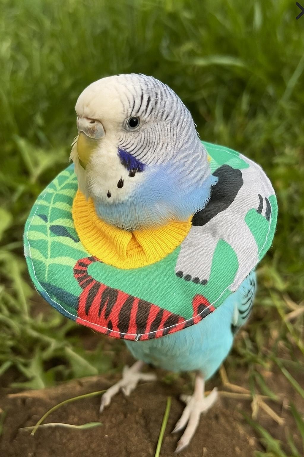 Elizabeth kuş yakalığı-kumaş kuş boyunluğu-dış çap 10 cm x iç çap 5 cm