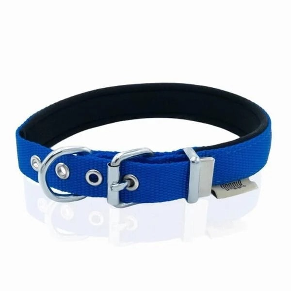 Royalist Mavi Köpek Boyun Tasması (50 cm L beden) 