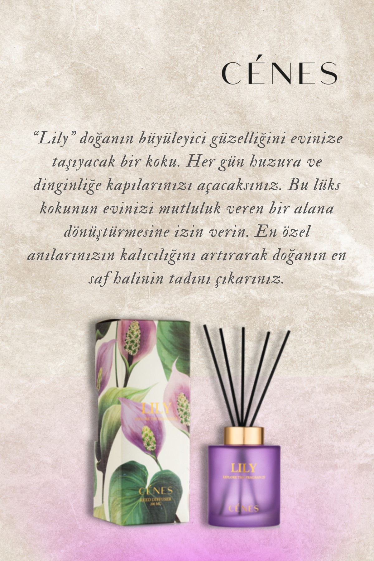 Lily Reed Diffuser 200ml- Çubuklu Oda Kokusu