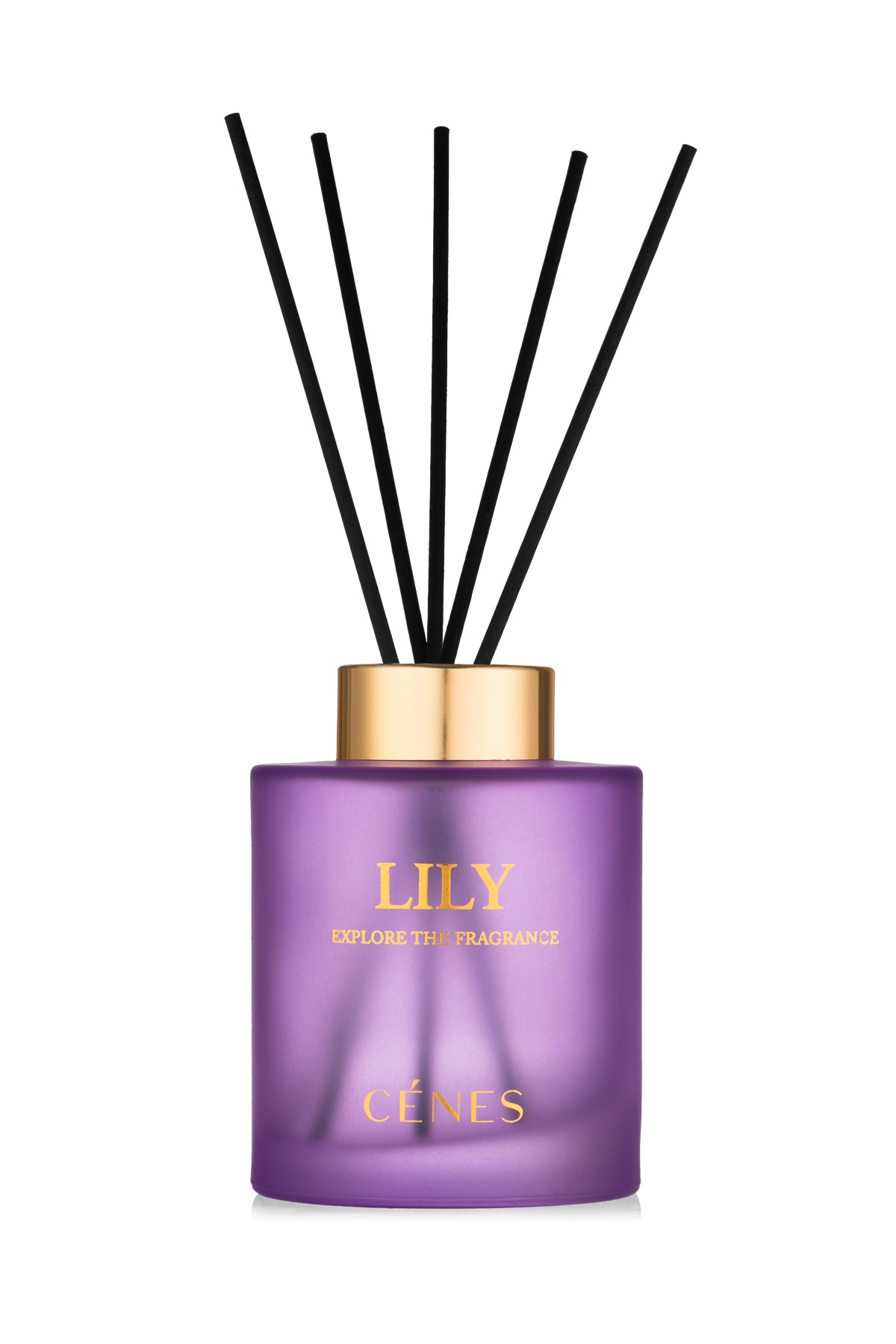 Lily Reed Diffuser 200ml- Çubuklu Oda Kokusu