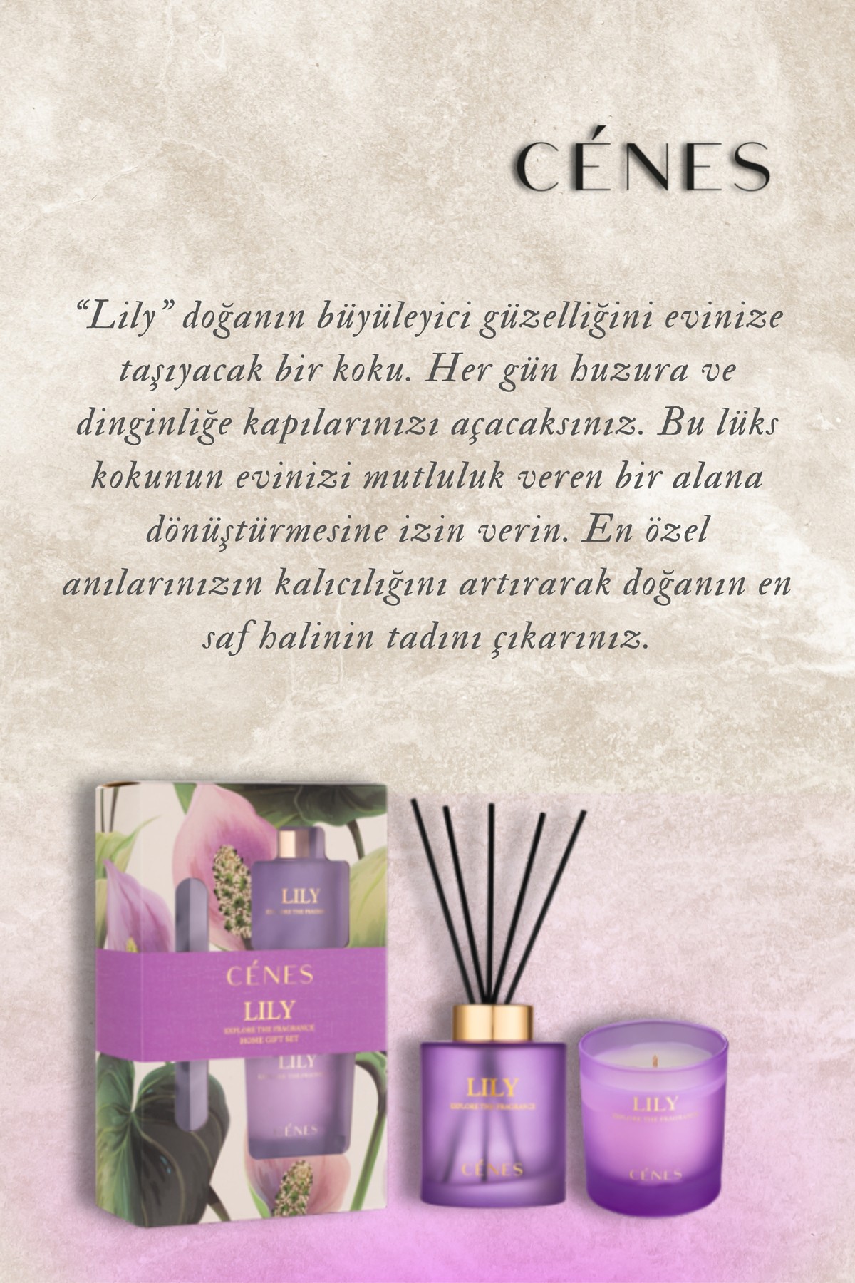 Lily Reed Diffuser 200ml + Candle 200g Gift Set / Oda Kokusu+Mum Hediye Seti