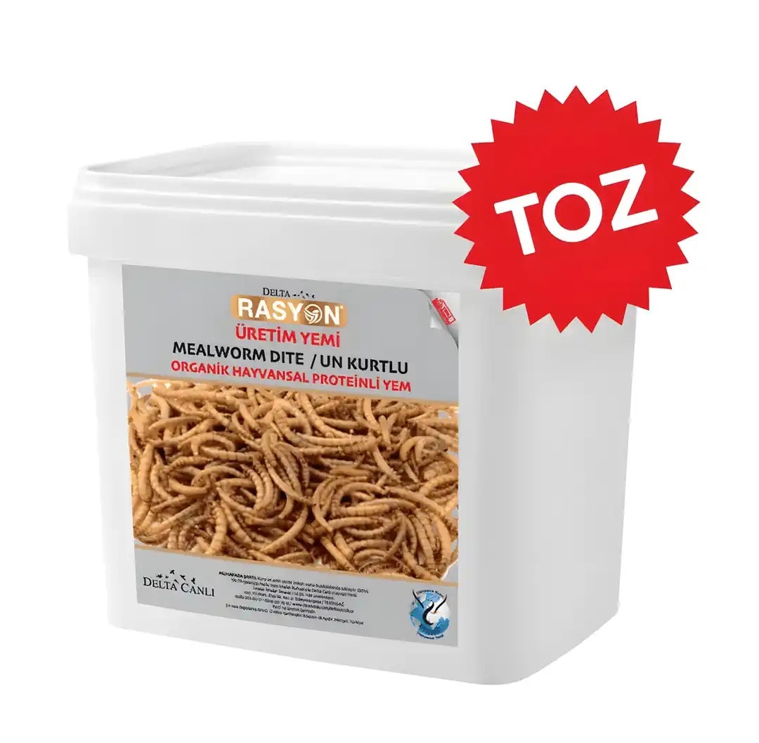 Rasyon Un Kurtlu Organik Hayvansal Proteinli Üretim Yemi Toz 5 Kg