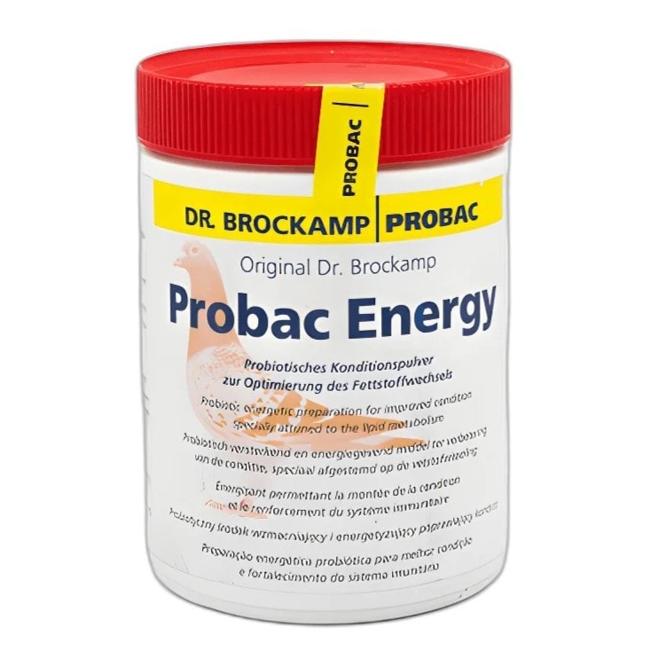 Dr. Brockamp | Probac Energy Kondisyon ve Bağışıklık Sistemi İçin Probiyotik ve Enerji Takviyesi 500gr