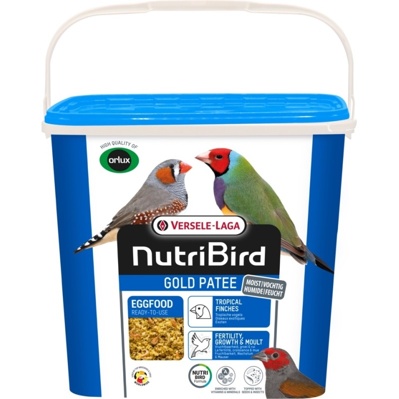 Versele Laga Orlux Gold Patee Nemli Kurtlu Kuru Karidesli Ballı Yumurtalı Kuş Maması 1kg