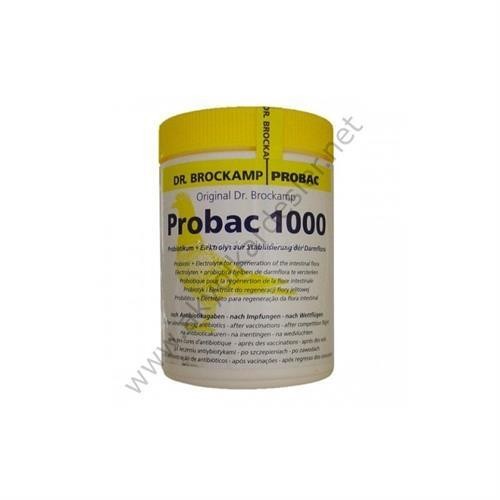 Probac 1000 Bağırsak Florası Düzenleyici Probiyotik Ve Elektrolit 100 GR