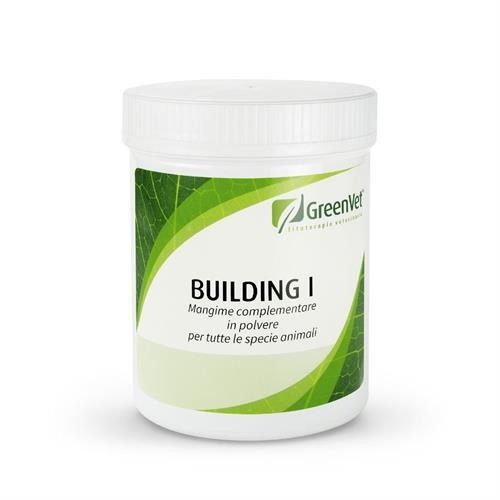 Greenvet Building I Kas Yapısı Gelişimi 500gr