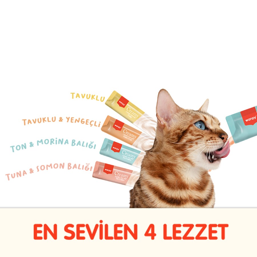 Wanpy Karışık 4 Lezzet 100'lü Krema Kedi Ödülü 100*14 gr