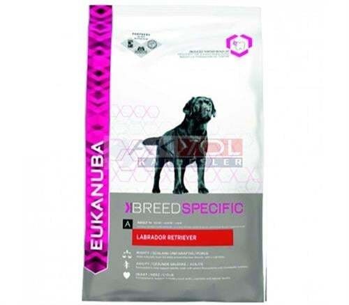 Eukanuba Labrodor Adult 12 Kg Yetişkin Köpek Maması