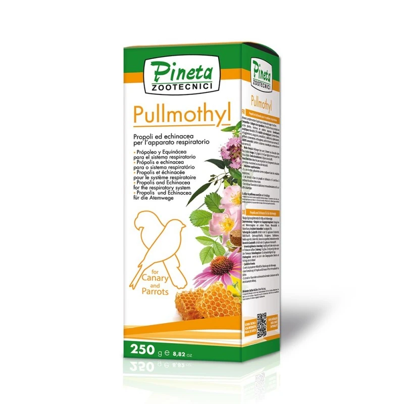 Pineta Zootecnici Profesyonel Pullmothyl Solunum Sisteminde Tonik-Uyarıcı ve İltihap Giderici 250ml