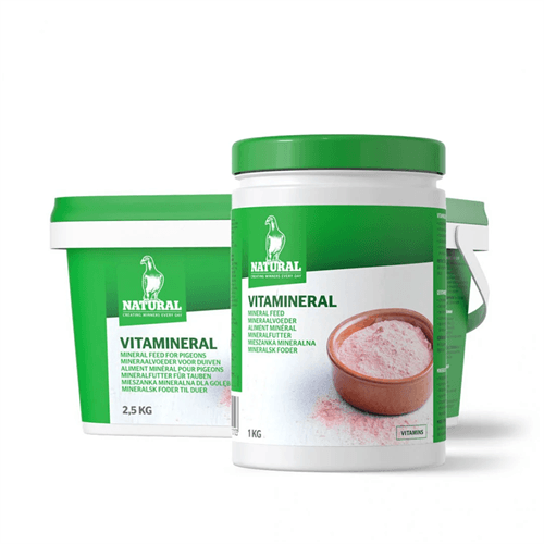 Natural Vitamineral Mineral Vitamin Karışımı 1 kg