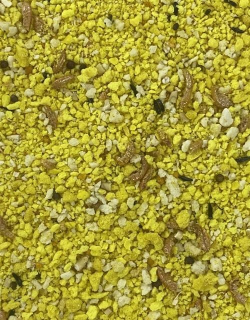 Deli Nature Böcekli-Kurtlu Muhabbet ve Paraket Maması 1kg