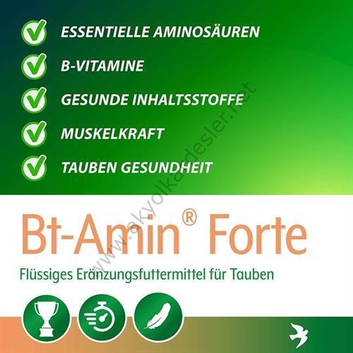 Röhnfried Bt-Amin Forte Amino Asit B Vitamini ve Elektrolit Karışımı 1000 ml