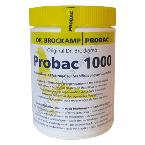 Probac 1000 Bağırsak Florası Düzenleyici Probiyotik Ve Elektrolit 500 GR