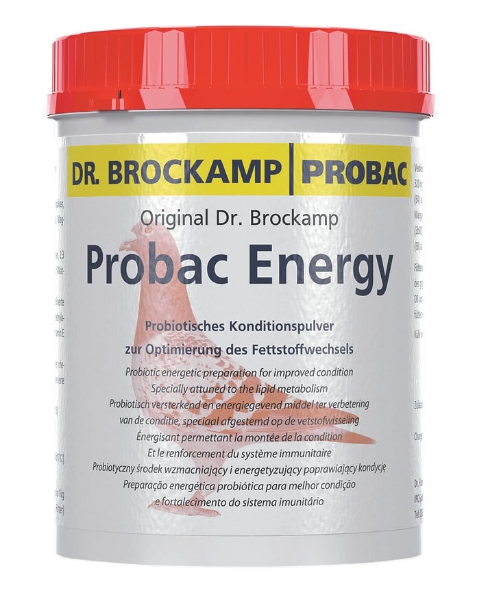 Dr. Brockamp | Probac Energy Kondisyon ve Bağışıklık Sistemi İçin Probiyotik ve Enerji Takviyesi 500gr
