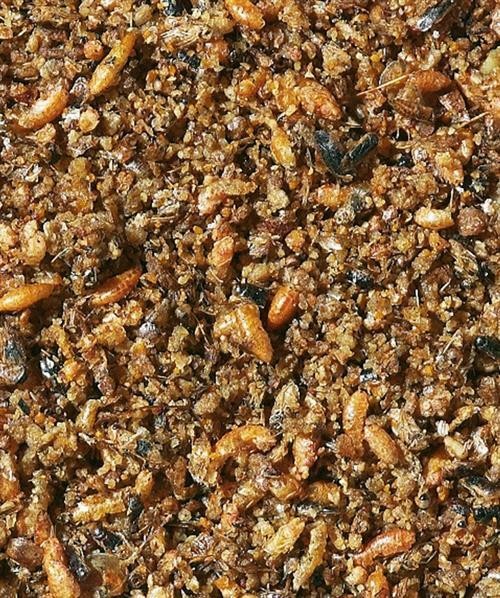 Orlux İnsect Patee Böcekli Kurtlu Kuş Maması 800gr