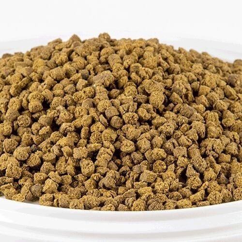 Rasyon Nirvana Papağan Yemi 850gr