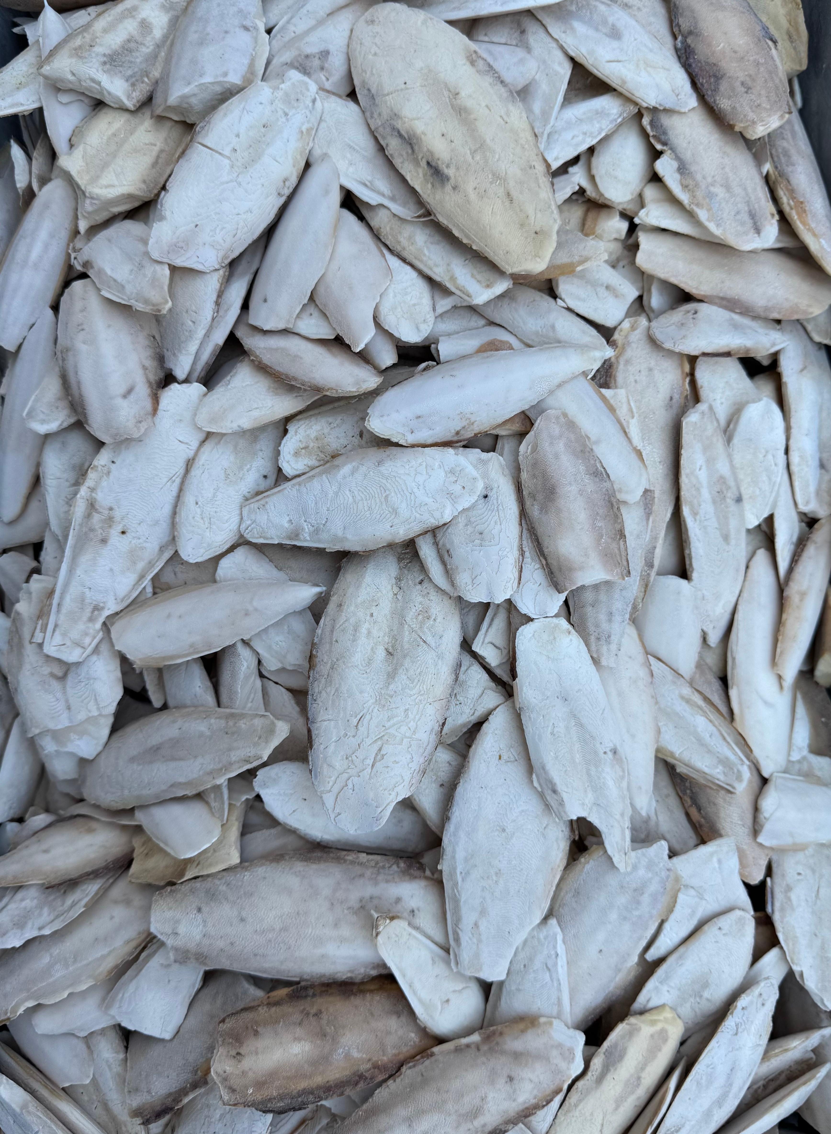 Mürekkep Balığı Kalamar Kemiği 1kg