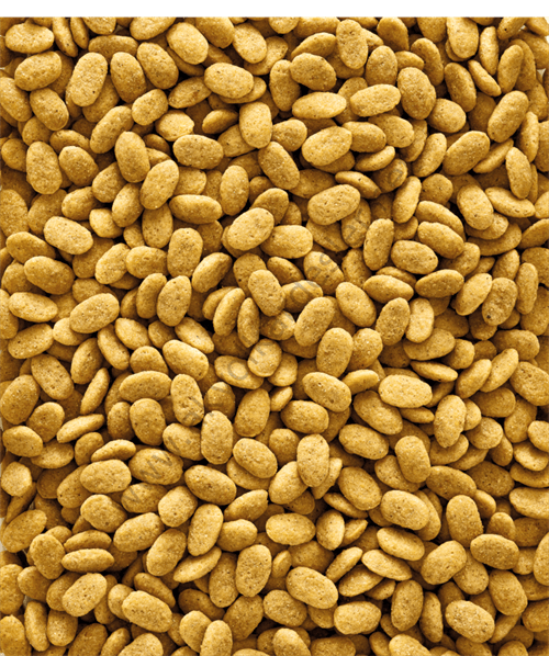 Versele Laga Nutrıbırd P15 Orıgınal 10kg