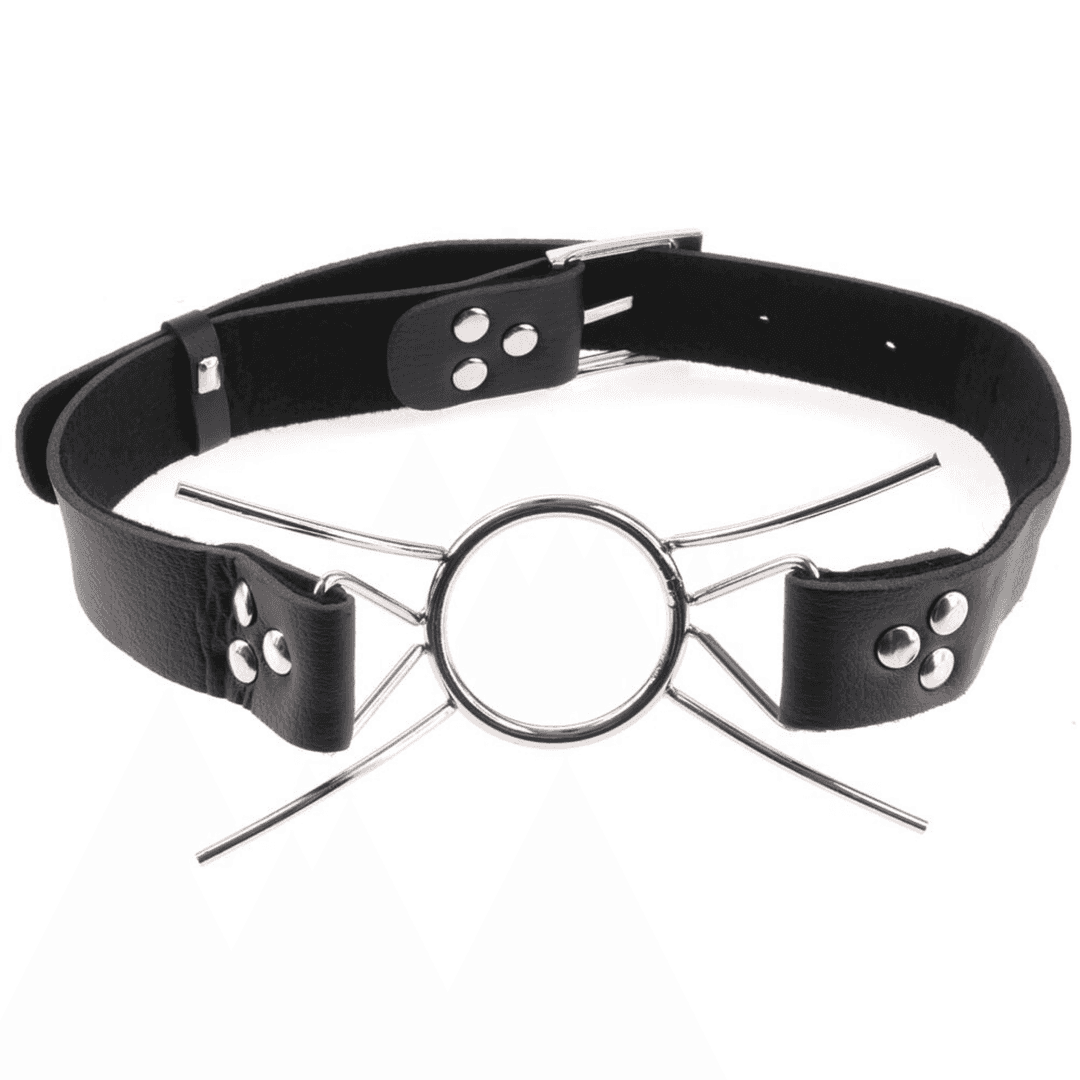 Pipedream Fetish Fantasy Extreme Spider Gag O-Ring Ağızlık