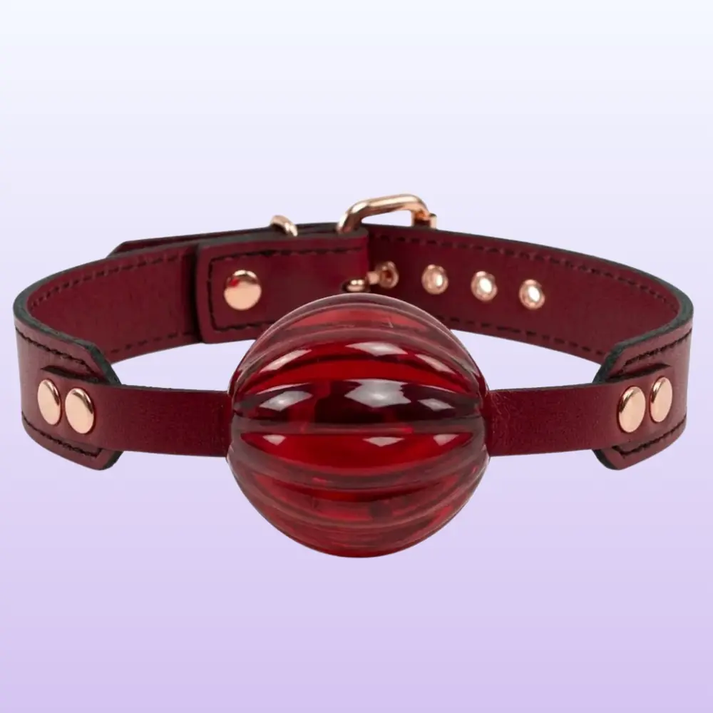 The Fetish Fantasy Series Master Blix Ball Gag Deri Ağız Topu-Kırmızı