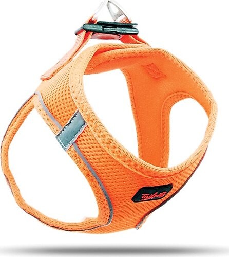 TAILPETZ Air-Mesh Köpek Tasma Neo Turuncu S