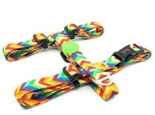 TAILPETZ Rainbow H-Tipi Göğüs Tasmasi S
